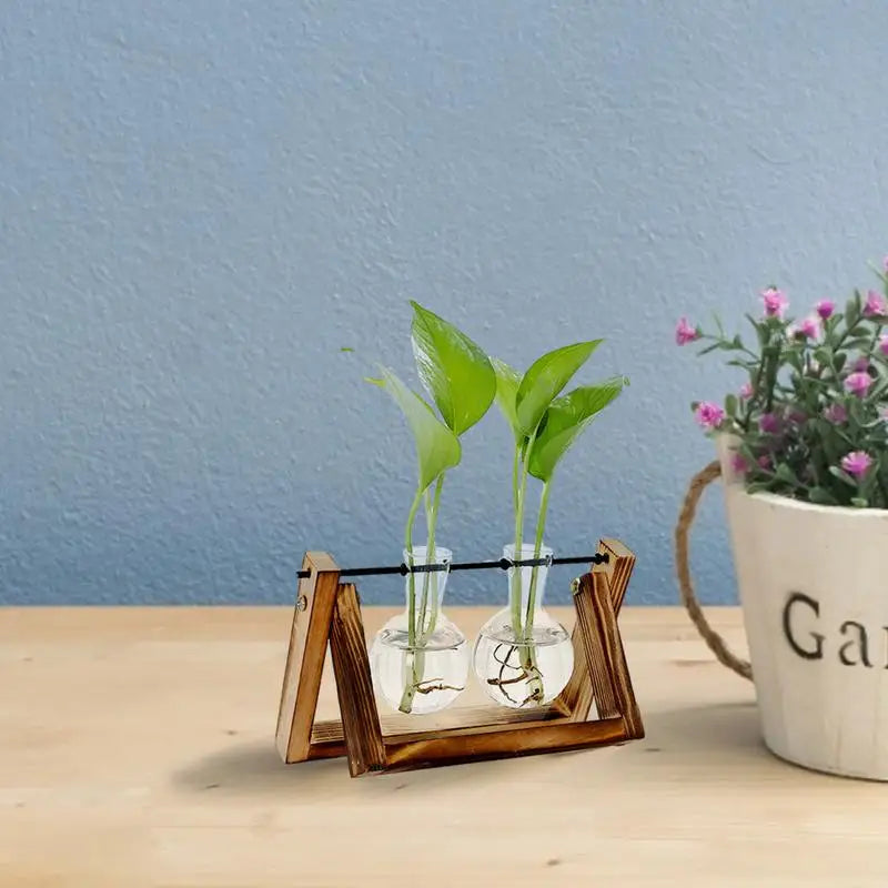 Glass Planter Bulb Vase Terrarium (for desktops)